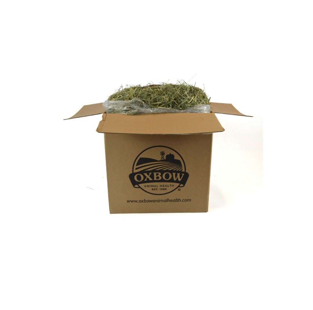 Oxbow Orchard Grass Hay 25 lb