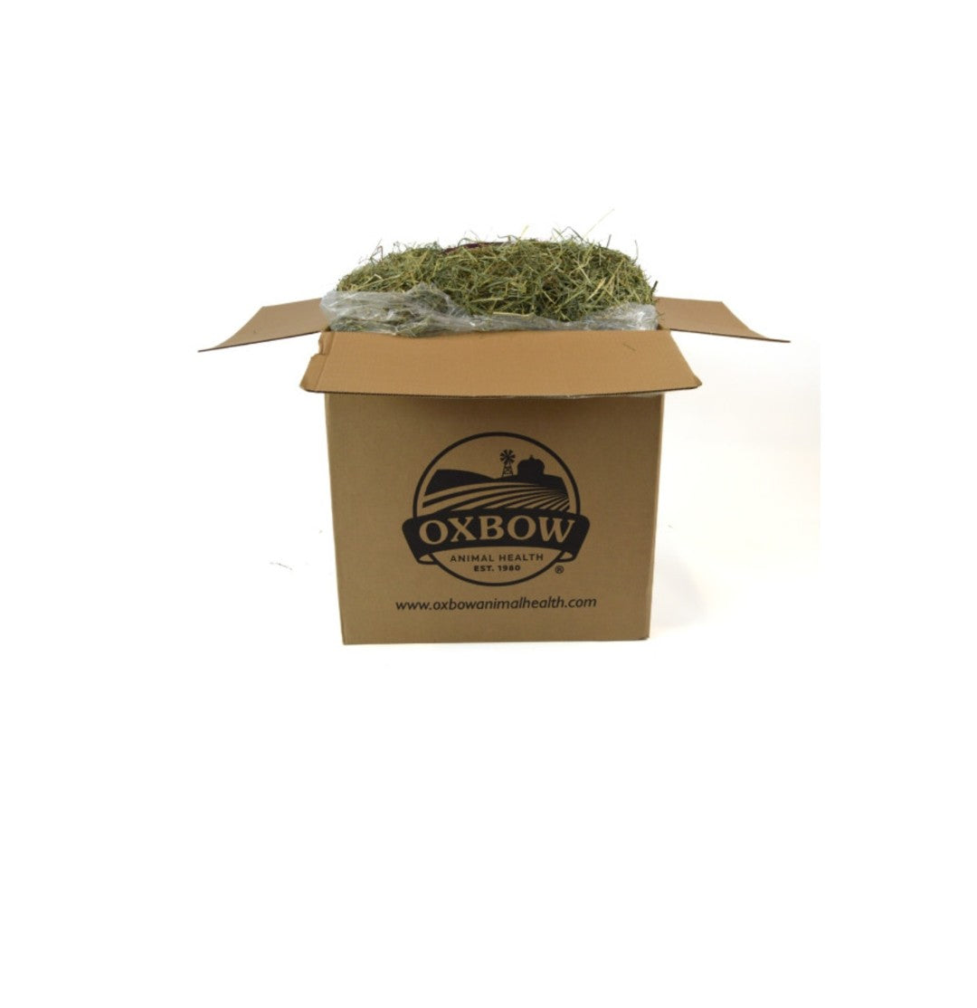 Oxbow Orchard Grass Hay 20 lbs