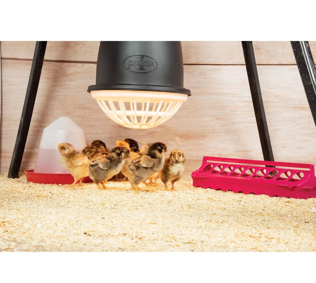 Prima Heat lamp 9- 3/8" Diameter 15" Tall 16 Foot Cord 250 Watts