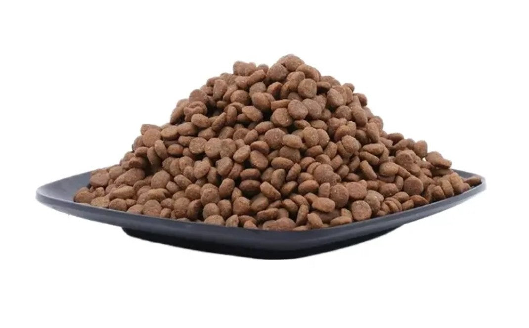 Dry Dog Food