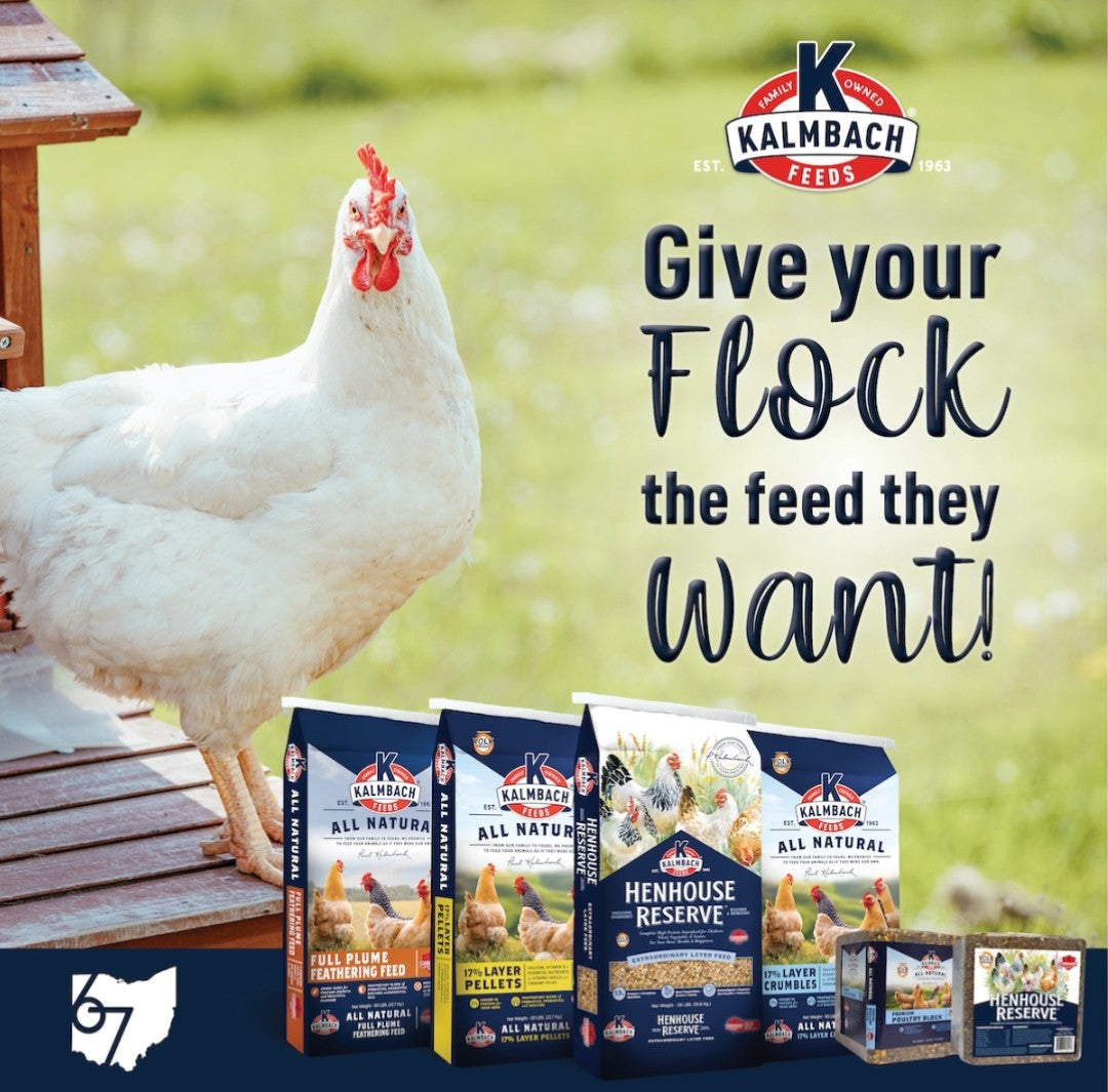 Chicken Feed & Supplies  + Treats