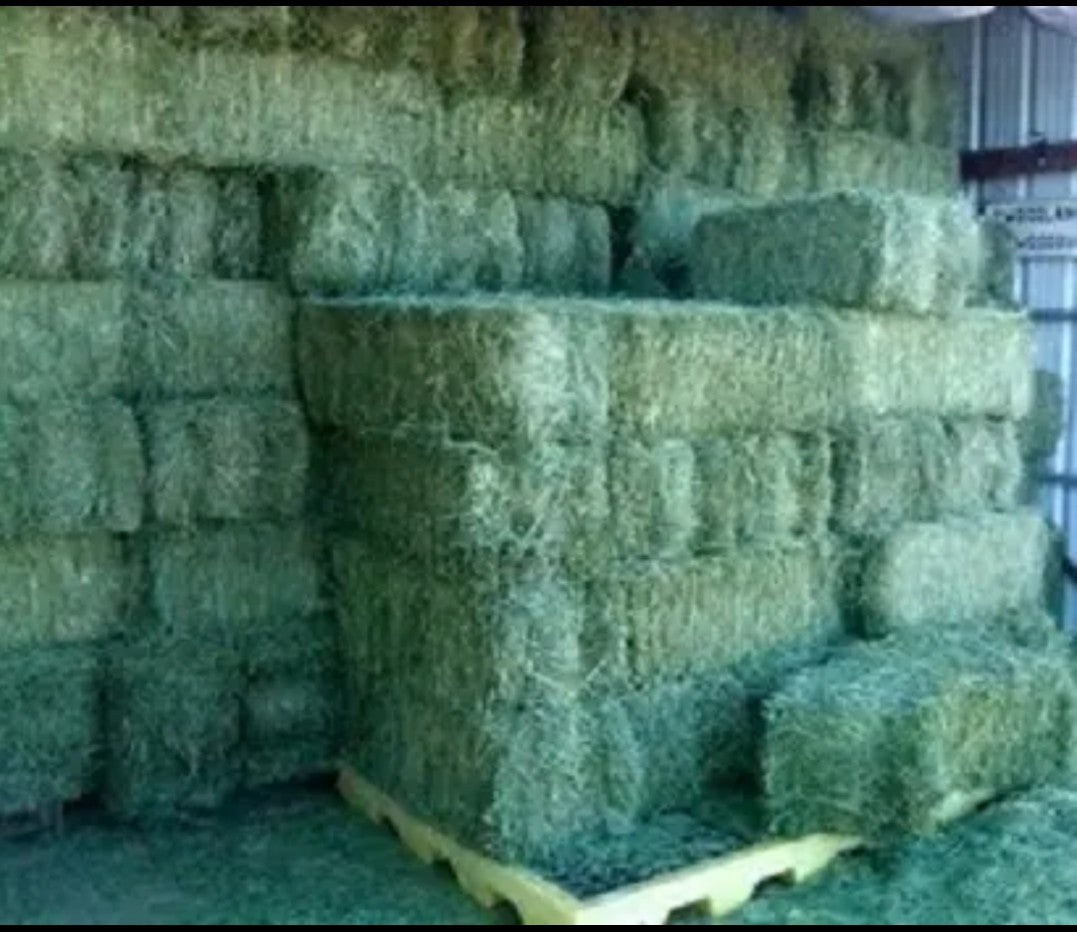 HAY & STRAW BALES