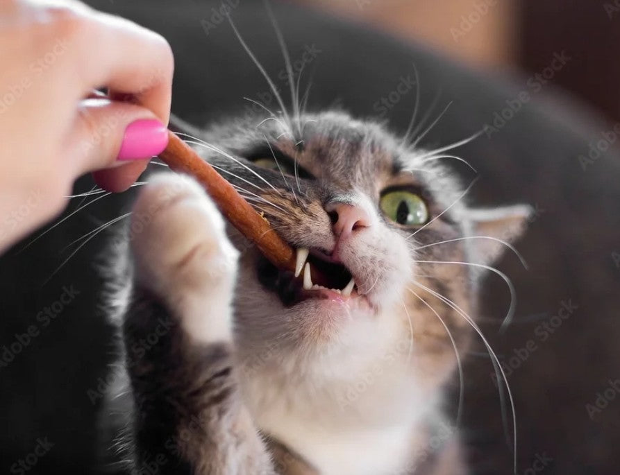 Cat Treats