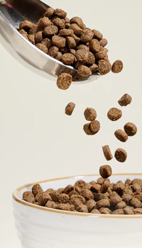Dry Cat Food