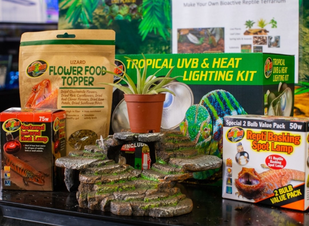 Reptile food & Supplies