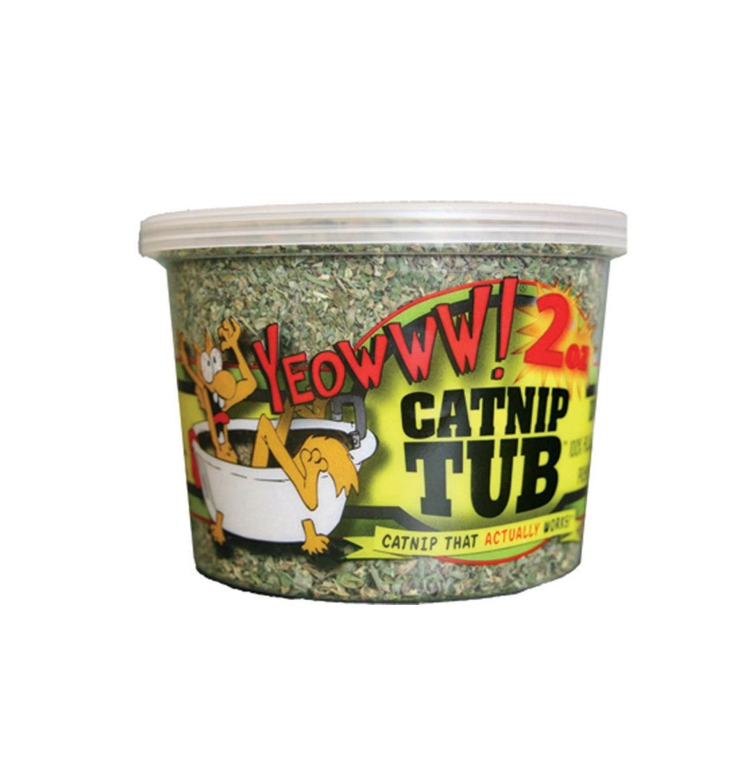 Cat Nip