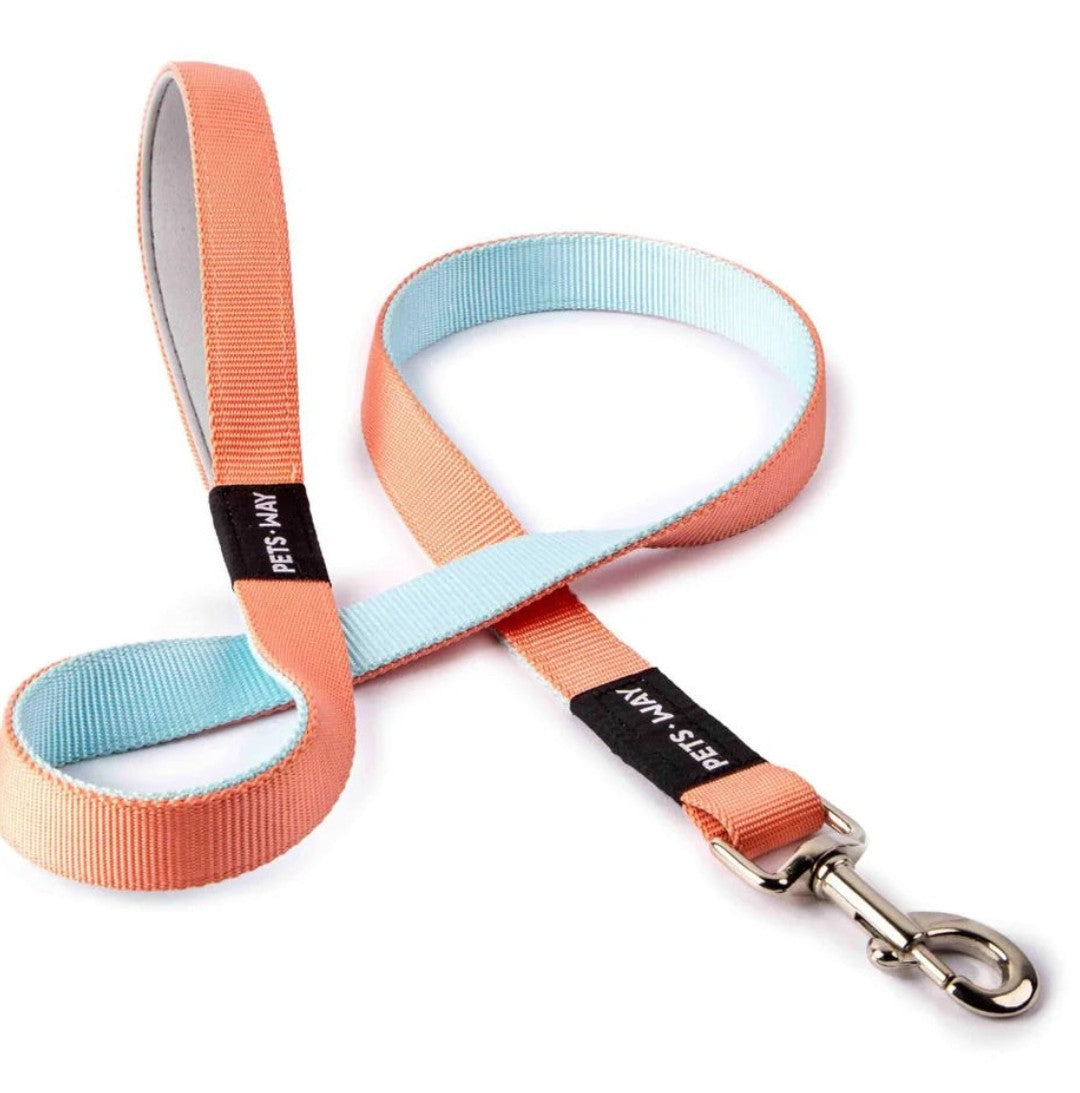 Collars And Leashes
