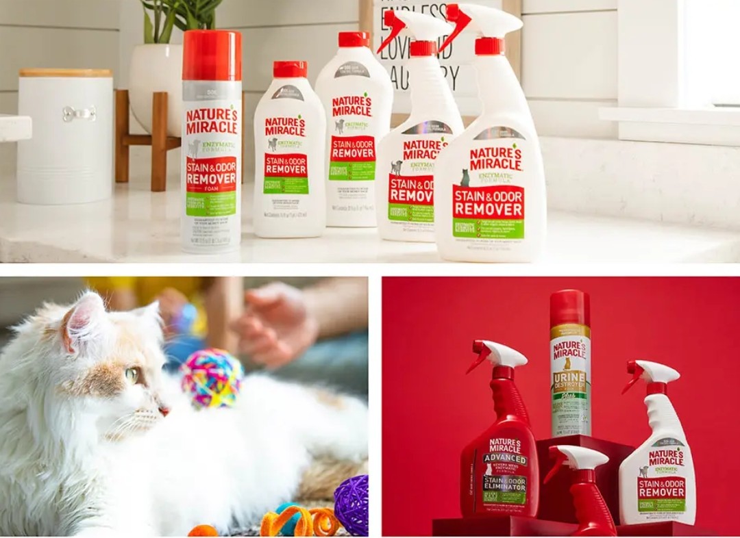Cat Cleaning Supplies