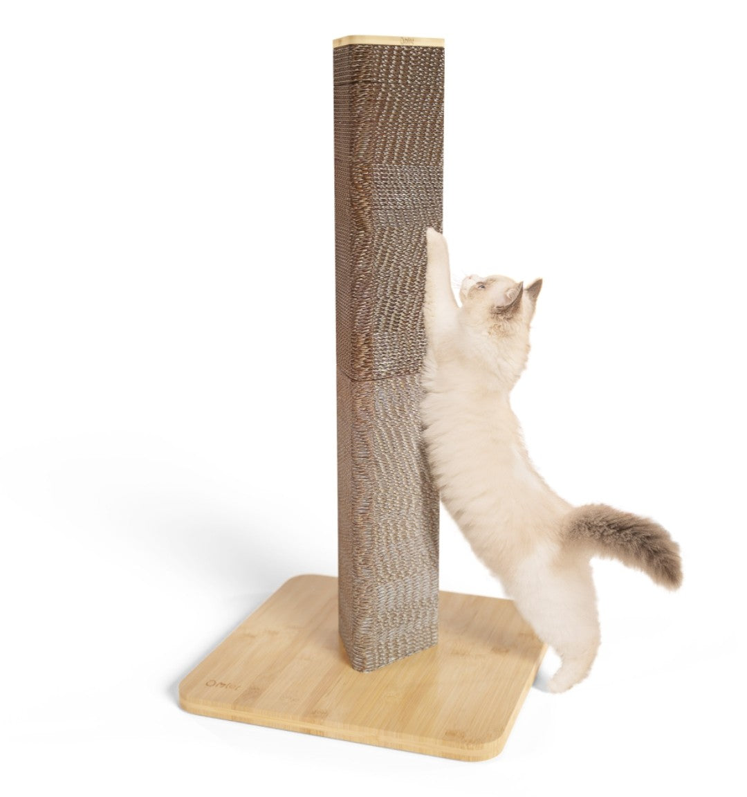 Cat Towers and Scratchers