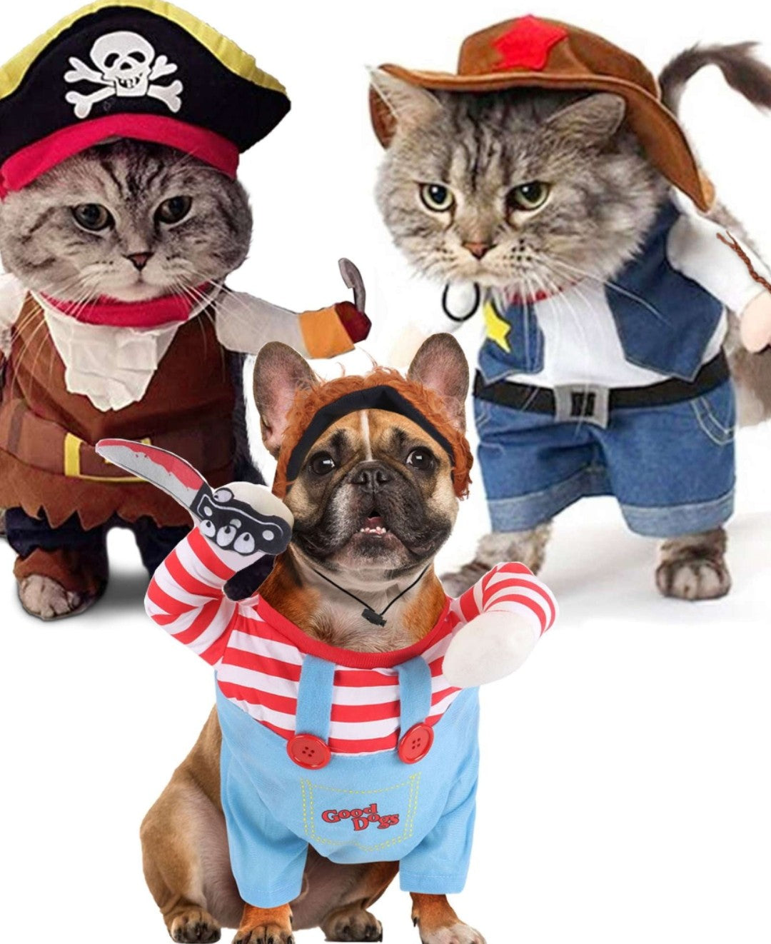 Pet Costumes