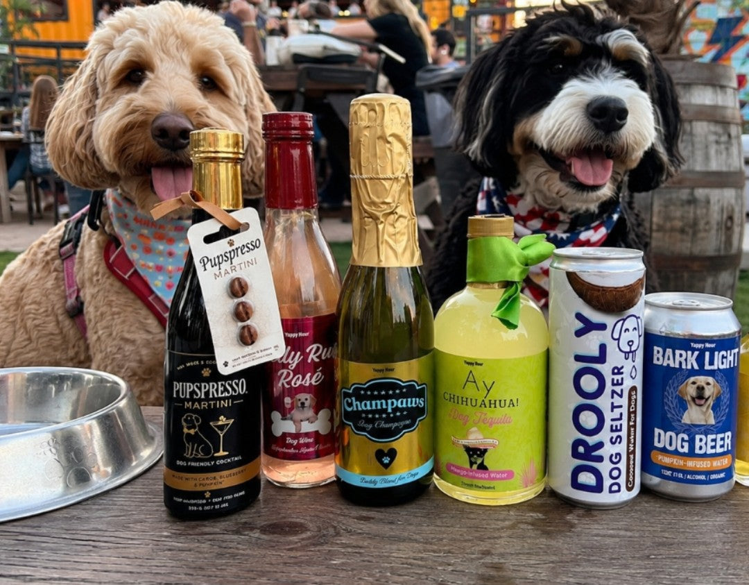 Dog Bear & Wine