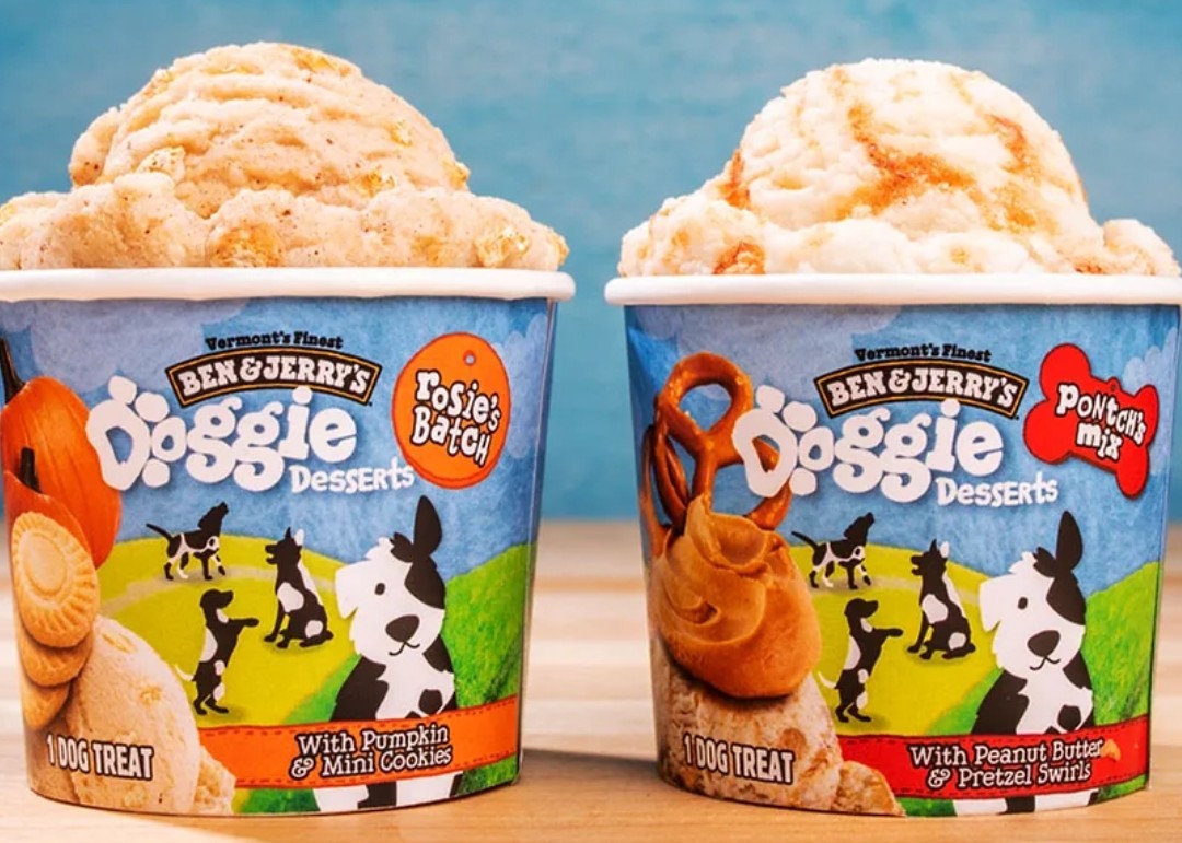 Dog  Ice-cream