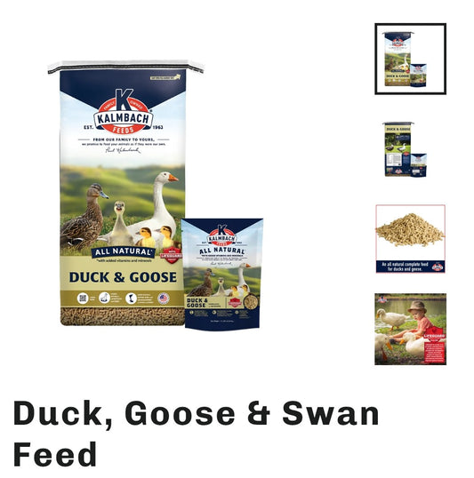 Duck, Goose & Swan Feed