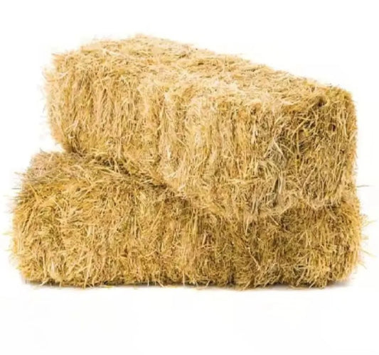 50lb  Straw Bale