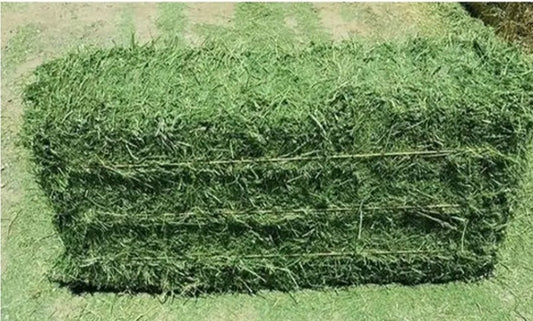 50lb Alfalfa bales