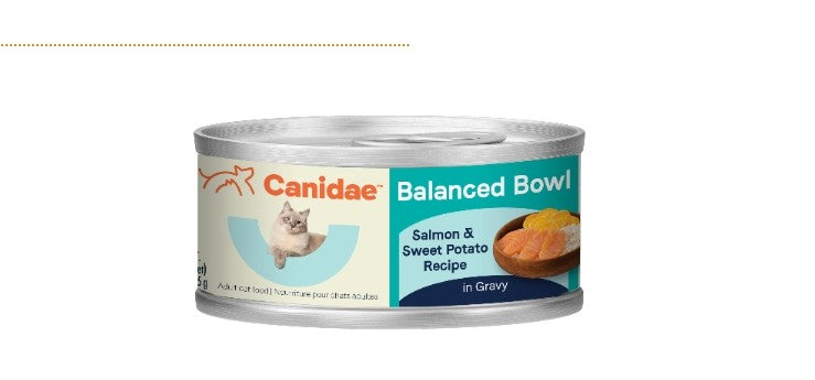 Canidae Balance Bowl wet Cat Food Salmon Sweet potato 24 pack 3oz cans