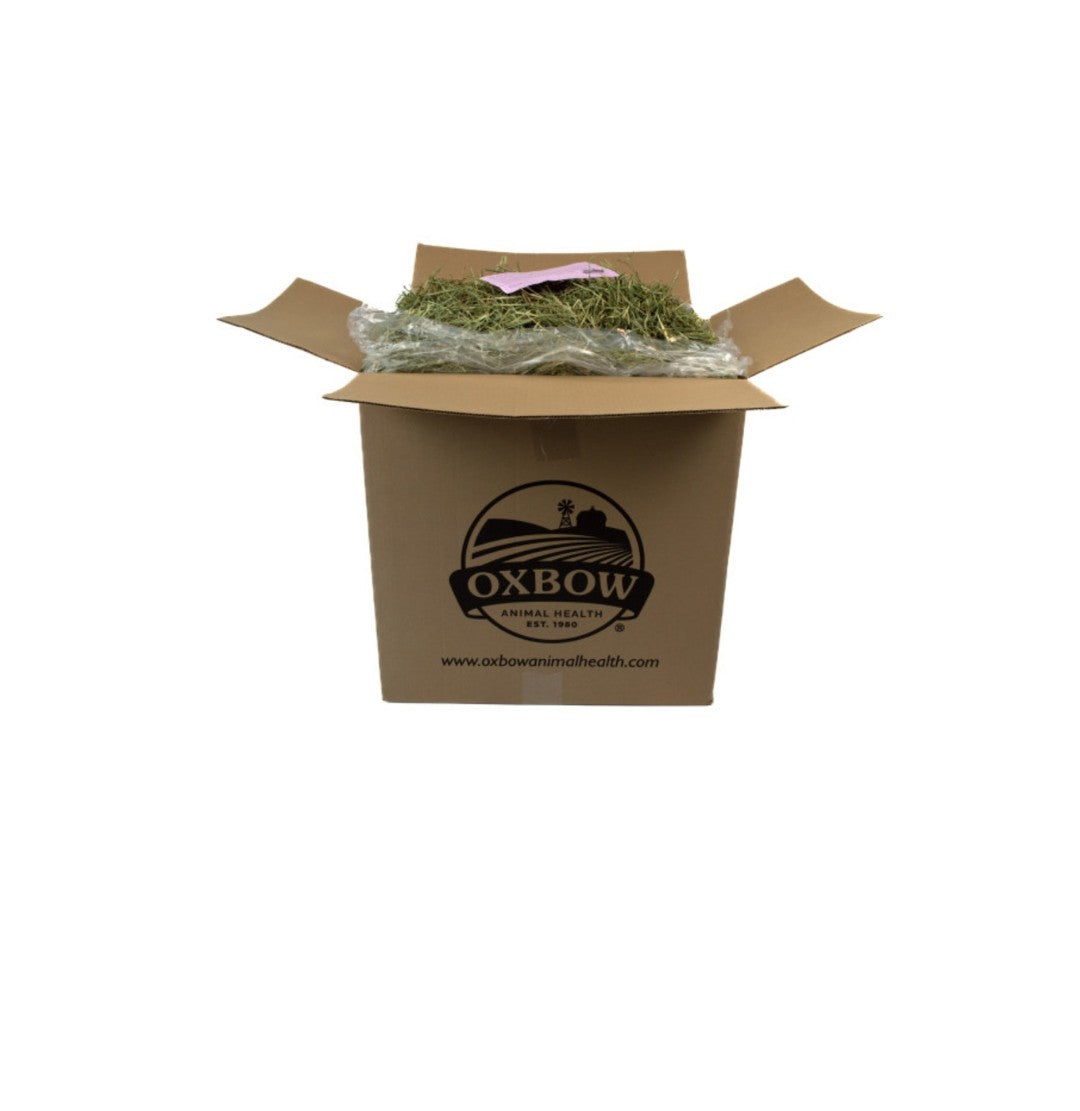 Oxbow Western Timothy Hay 40 lbs