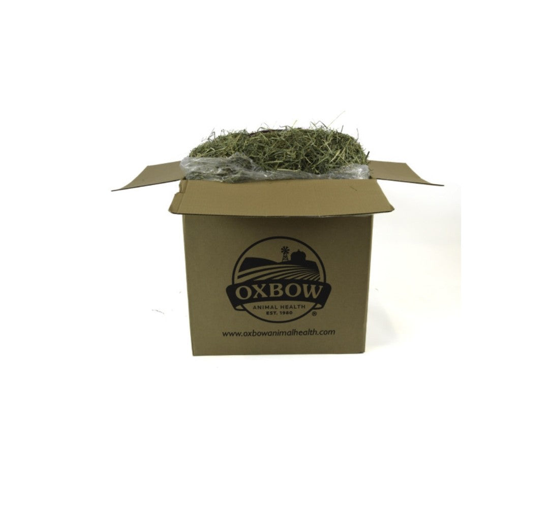 Oxbow Orchard Grass Hay 40 lbs