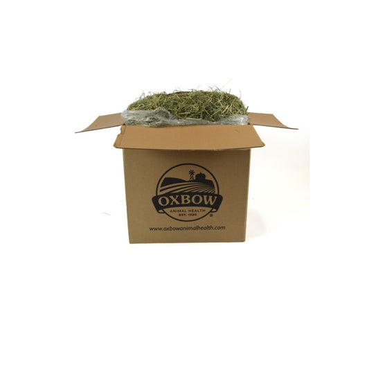 Oxbow Orchard Grass Hay 20 lbs