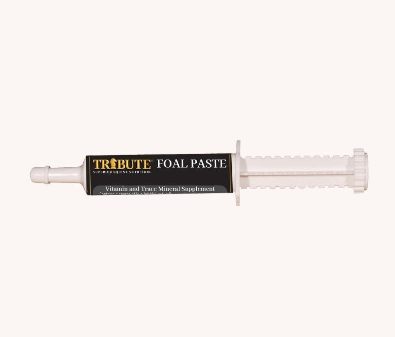 Tribute Foal Paste Nutrient And Probiotic Packed Supplement