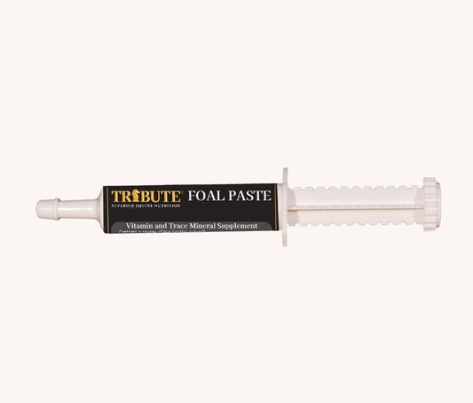 Tribute Foal Paste Nutrient And Probiotic Packed Supplement