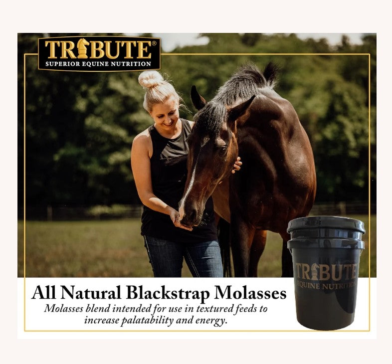 Tribute All Natural BlackStrap Molasses 5 lbs