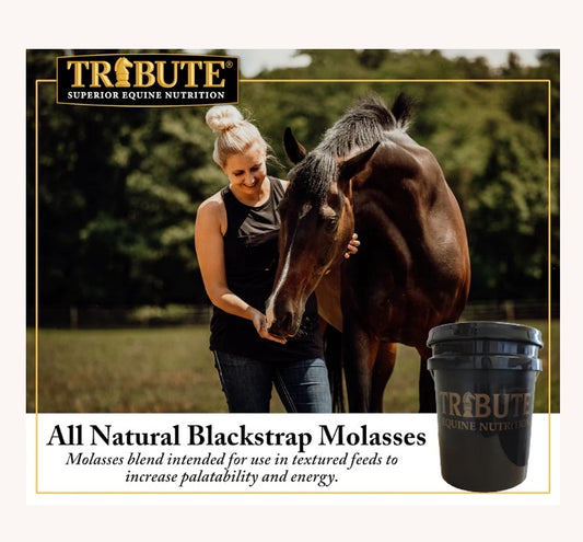 Tribute All Natural BlackStrap Molasses 5 lbs