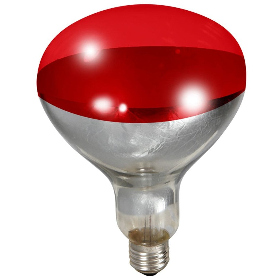 Heat lamp 250W Bulb Red