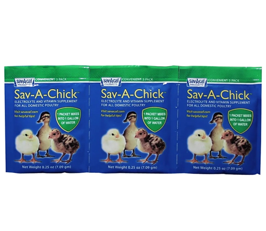 Sav-A-Chick Electrolyte & Vitamin Supplement 0.25 oz X 3 pack
