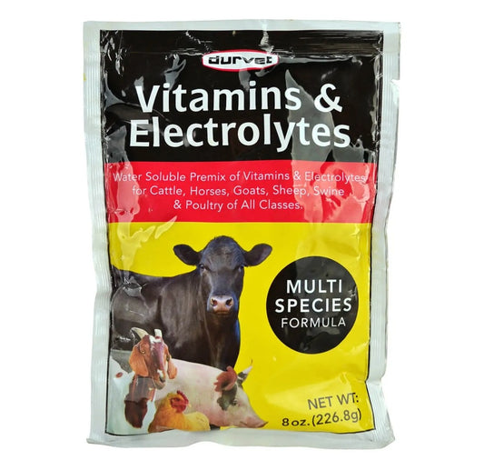 Durvet Vitamin and Electrolytes Multispecies Supplement 8 oz