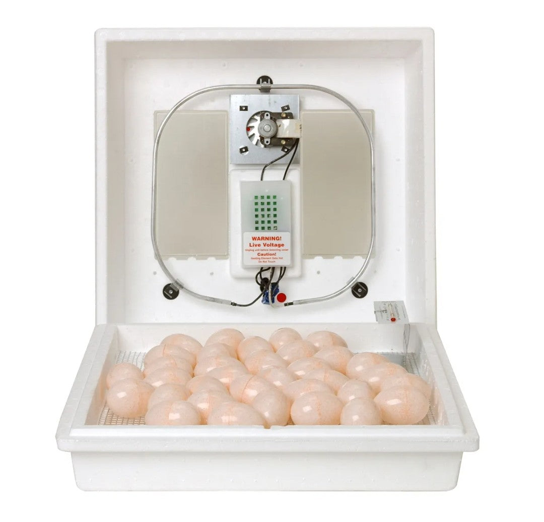 Miller Little Giant Circulated Air Incubator