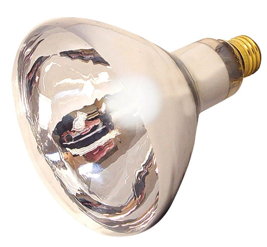 Heat Lamp 125 W Bulb