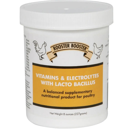 Vitamins and Electrolytes With Lactobacillus For Poultry 8 oz