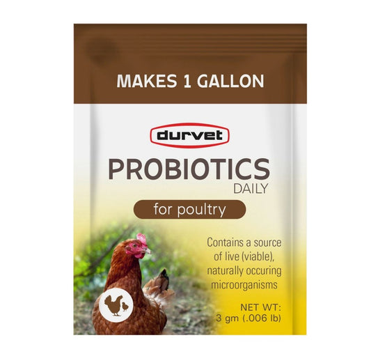 Probiotics Daily Poultry Supplement 3 gm