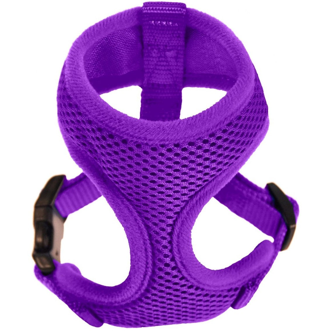 Chicken Harness Small Purple